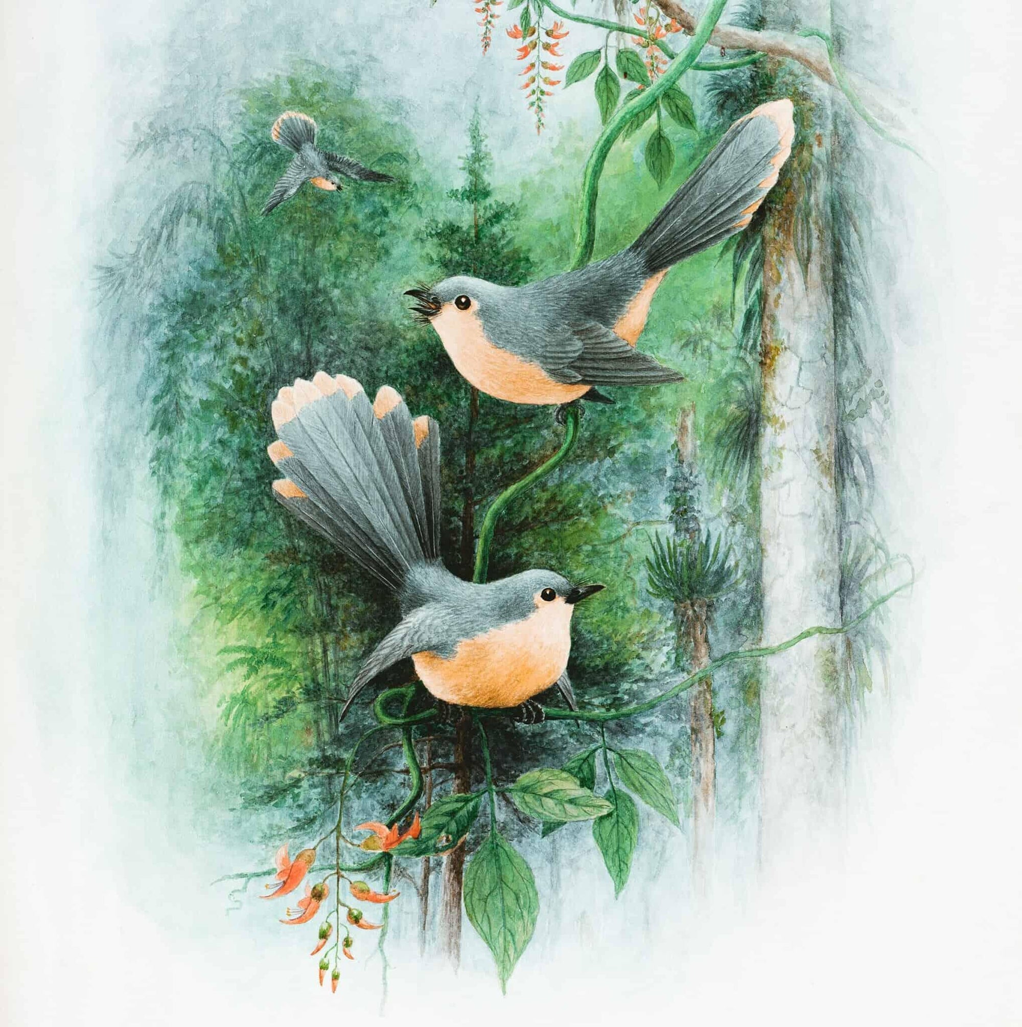 Een Schilderij Cadeau Doen: Hoe Kies je het Perfecte Kunstwerk?