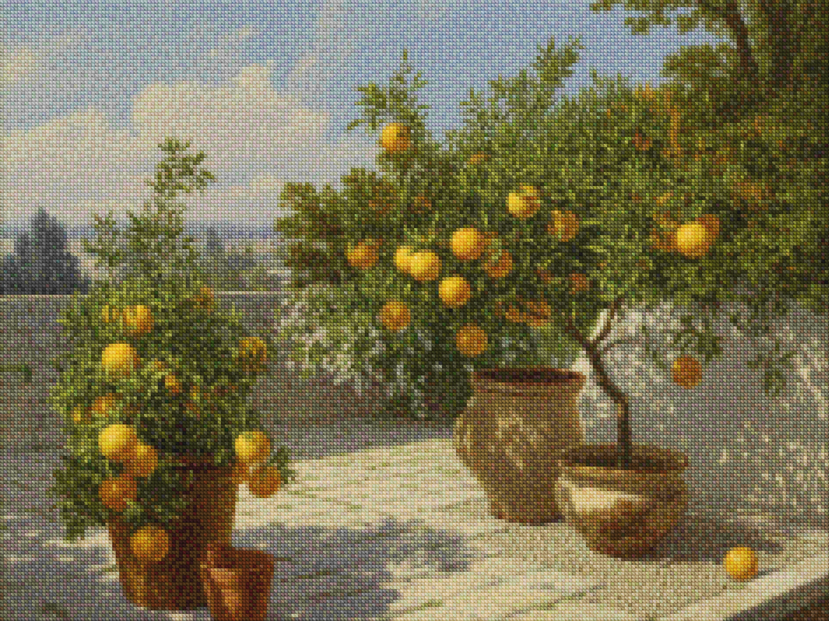 Diamond Painting - Citrustuin