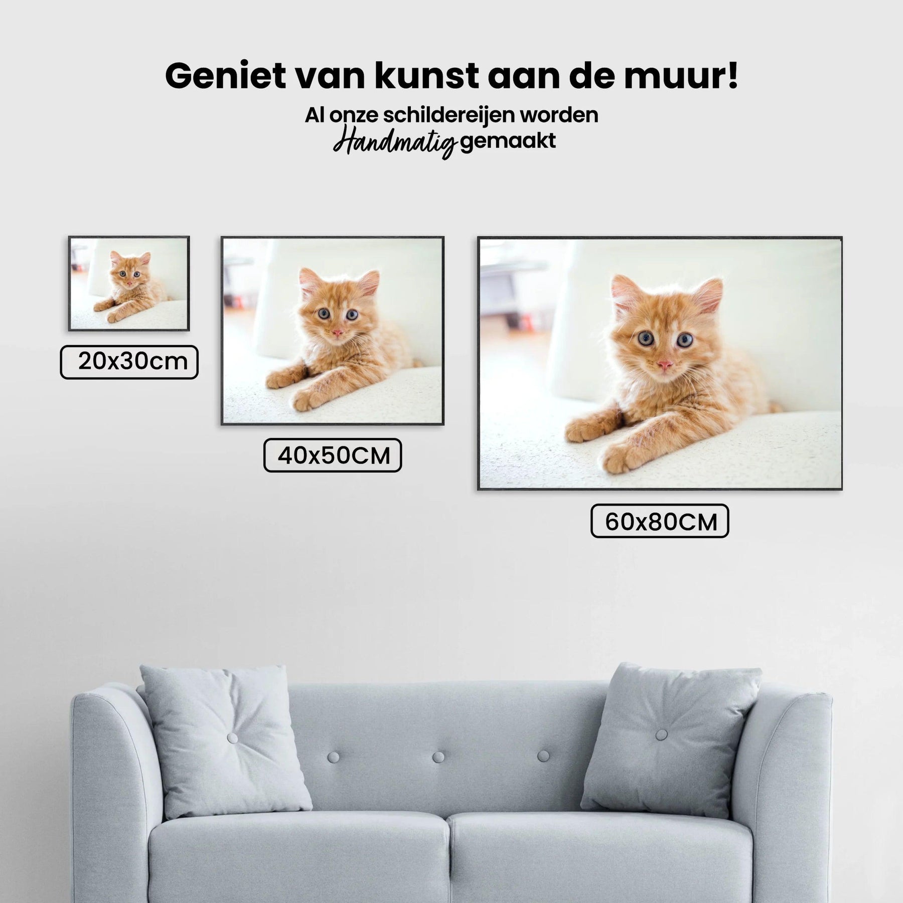 Diamond Painting Kleine kitten in een stoel - SEOS Shop ®