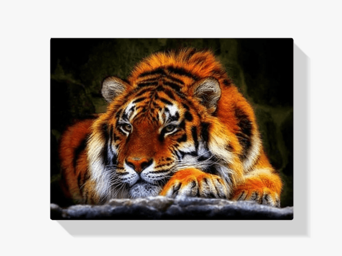 Diamond Painting Liggende Tijger - SEOS Shop ®