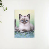 Diamond Painting Pakket Kitten - SEOS Shop ®