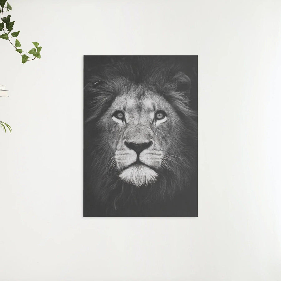 Diamond Painting Pakket Zwart wit leeuw - SEOS Shop ®
