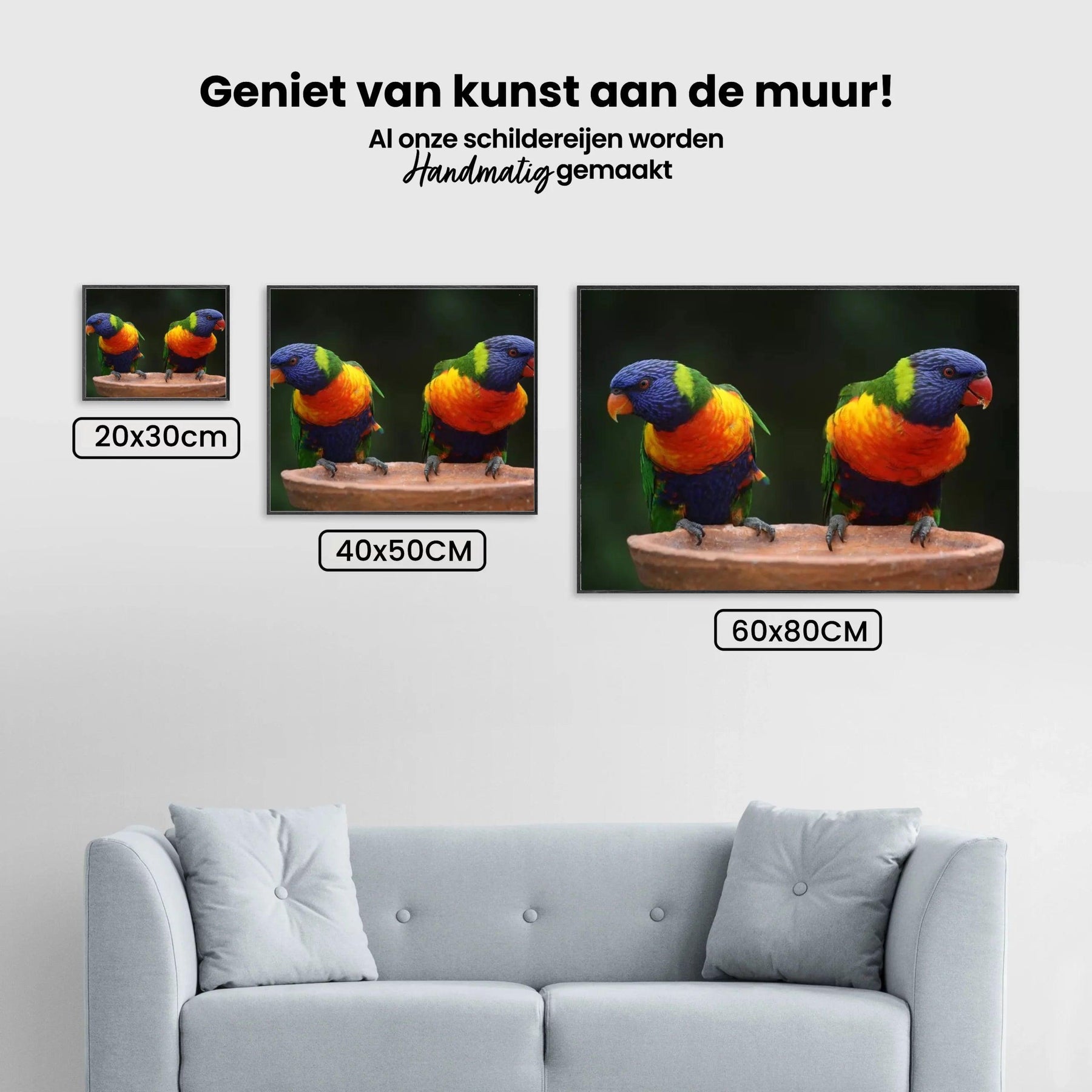 Diamond Painting Papegaaien - SEOS Shop ®