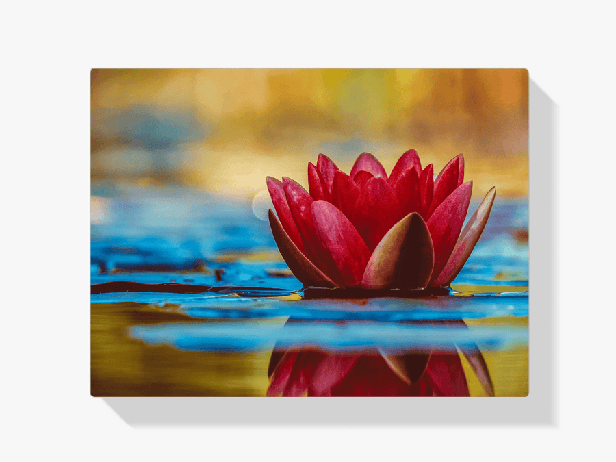 Diamond Painting Rode waterlelie - SEOS Shop ®
