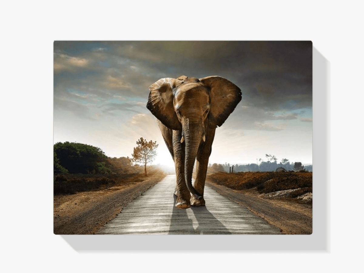 Diamond Painting Safari Olifant - SEOS Shop ®