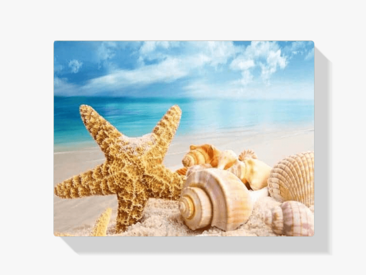 Diamond Painting Schelpen op strand – 40x50 cm – SEOS Shop ®