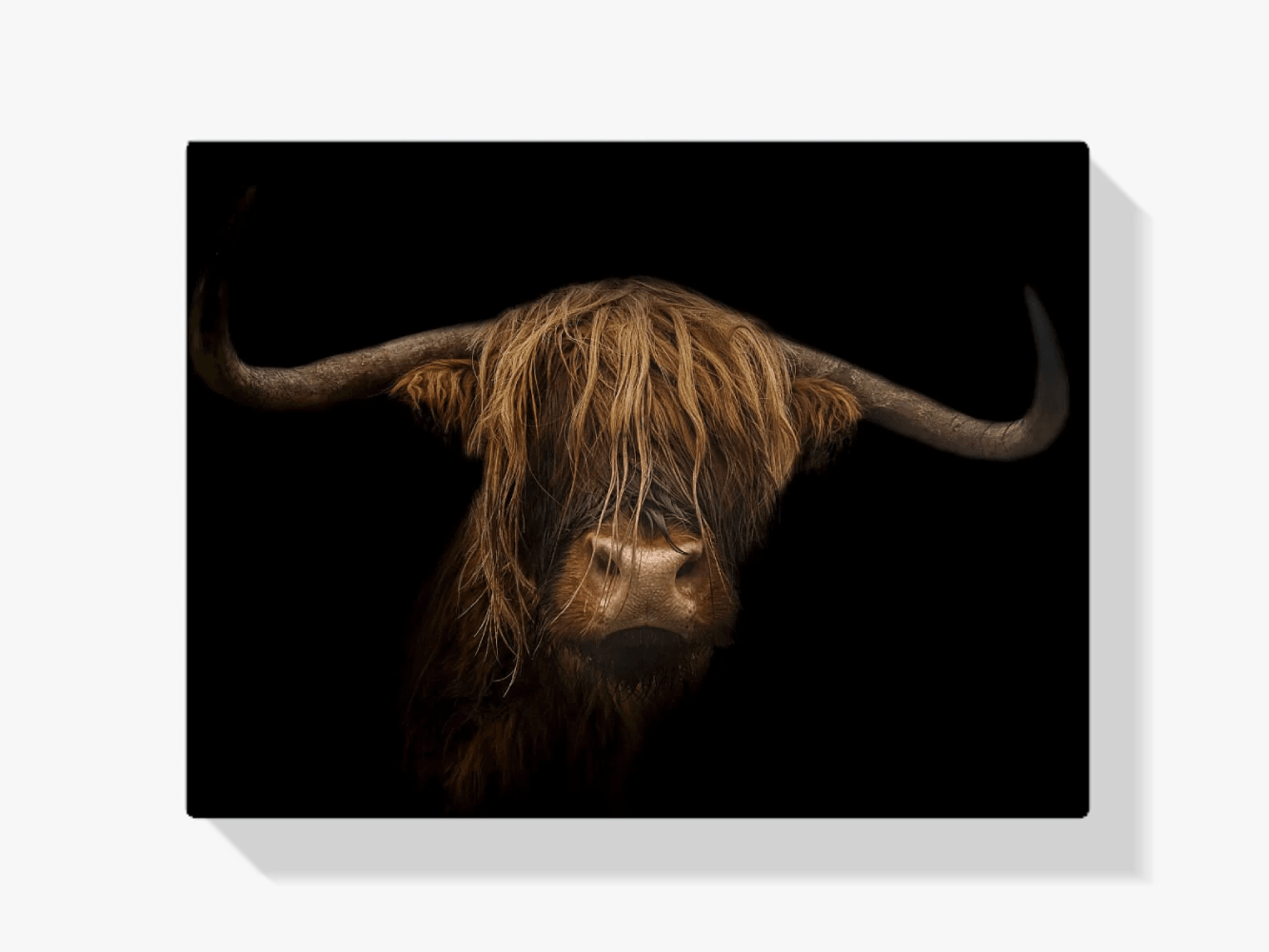 Diamond Painting Schotse hooglander - Majestueuze Schotse hooglander in beeld - SEOS Shop ®