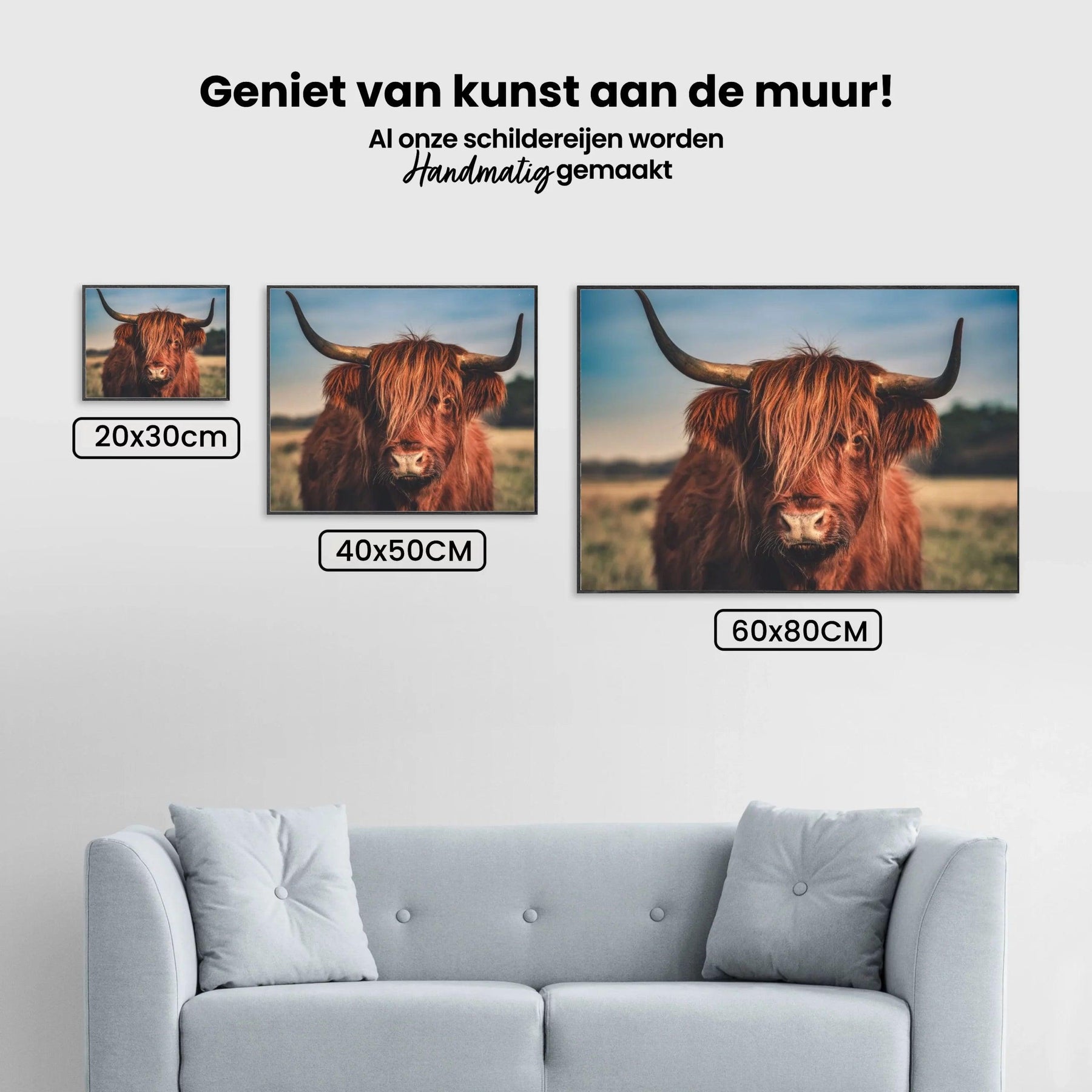 Diamond Painting Schotse hooglander - Schotse hooglander in het wild - SEOS Shop ®