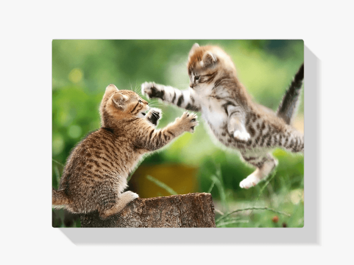 Diamond Painting Spelende kittens - SEOS Shop ®