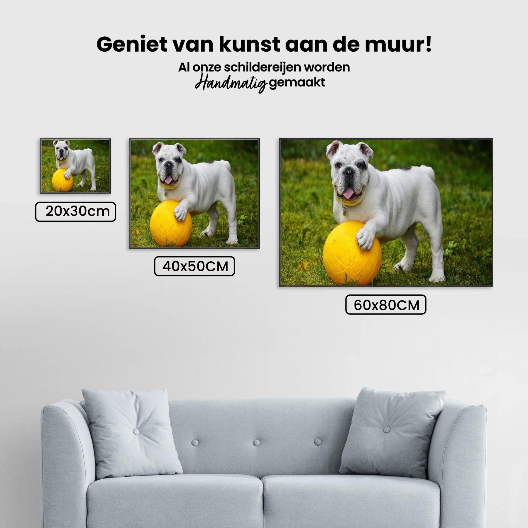 Diamond Painting Witte bulldog met bal - SEOS Shop ®