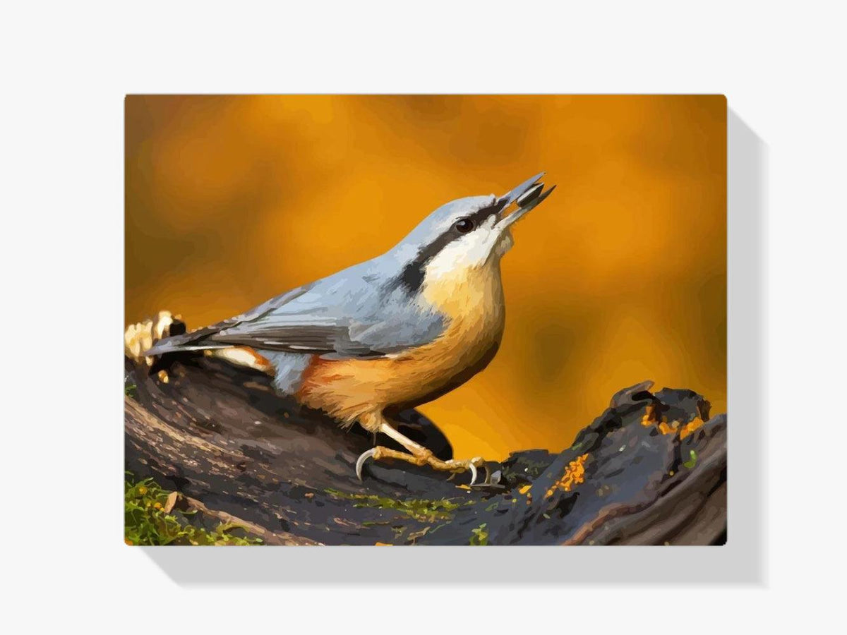 Diamond Painting - Boomklever op de tak - SEOS®