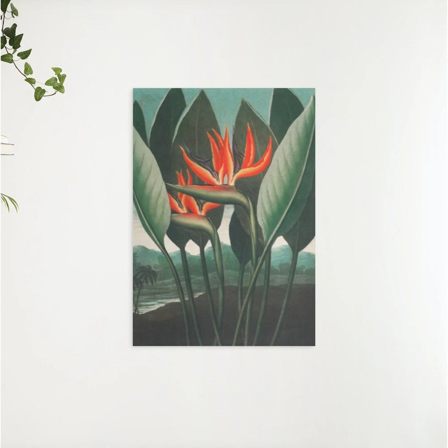 Diamond Painting - De Koningin Plant - SEOS Shop ®