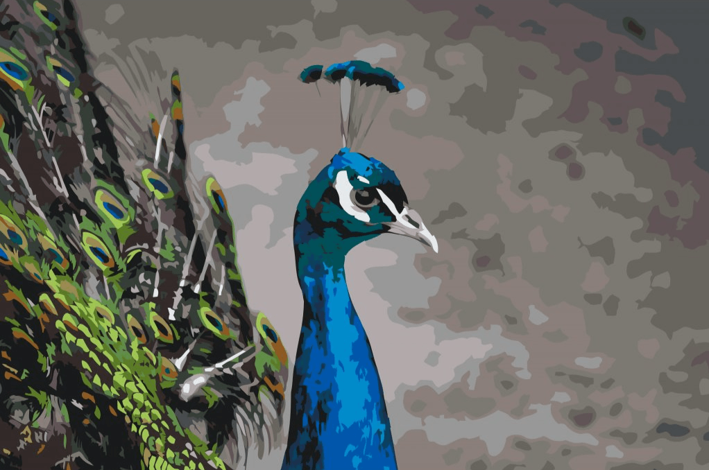 Diamond Painting - De majestueuze pauw - SEOS®