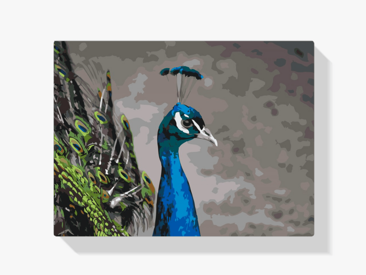 Diamond Painting - De majestueuze pauw - SEOS®