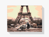 Diamond Painting - Duiven in Parijs - SEOS®