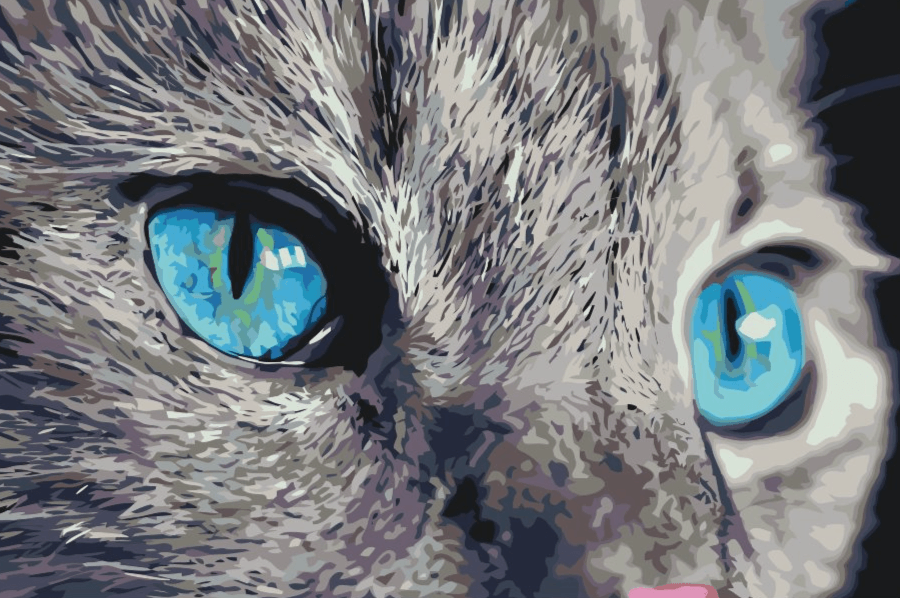 Diamond Painting - Een doordringende blik - SEOS®