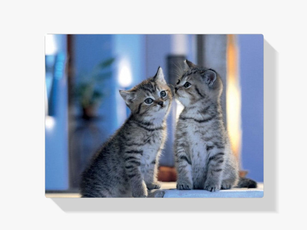 Diamond Painting - Familie Katten - SEOS®