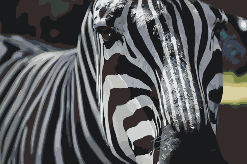 Diamond Painting - Focus op zebra - SEOS®