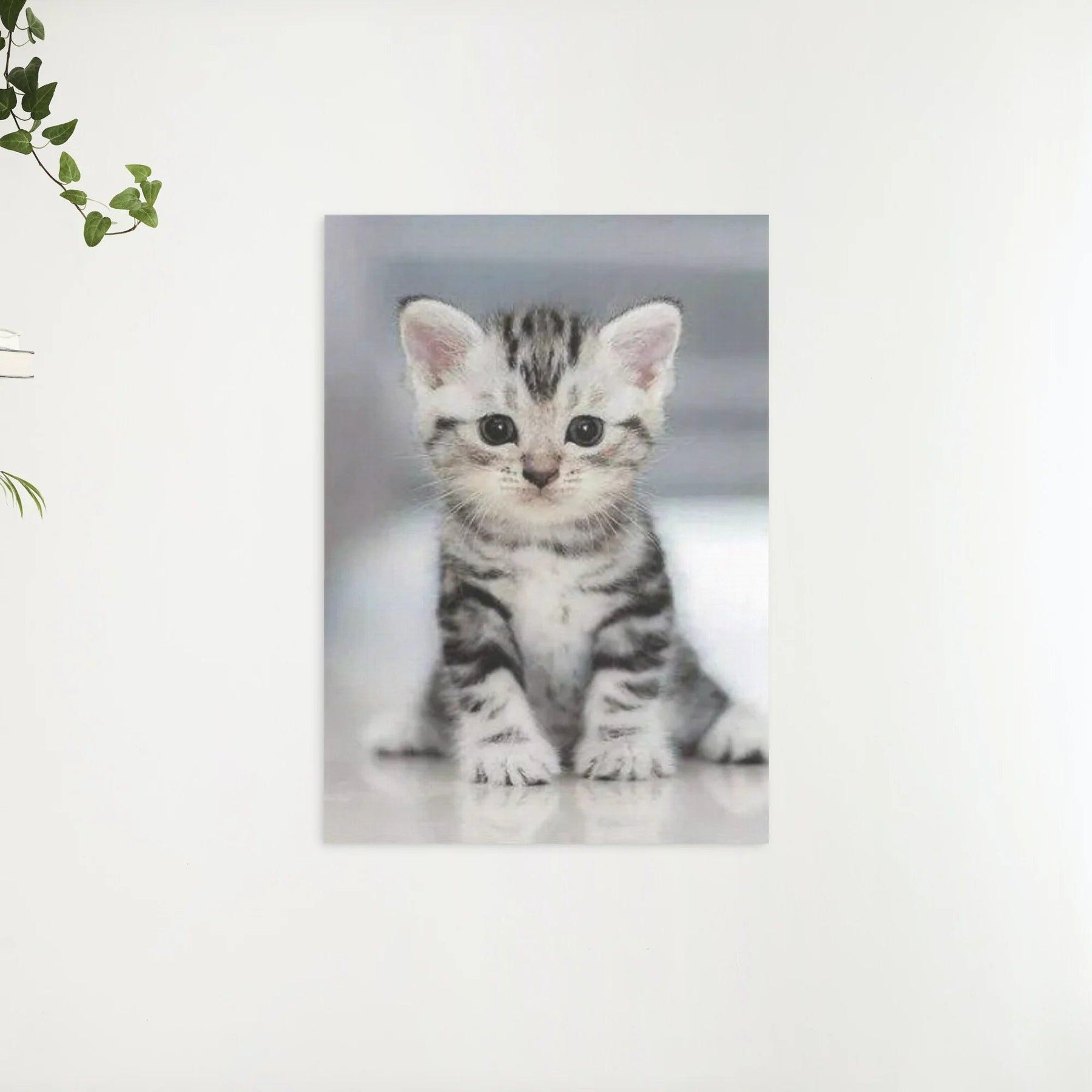 Diamond Painting - Grijze kitten - SEOS®