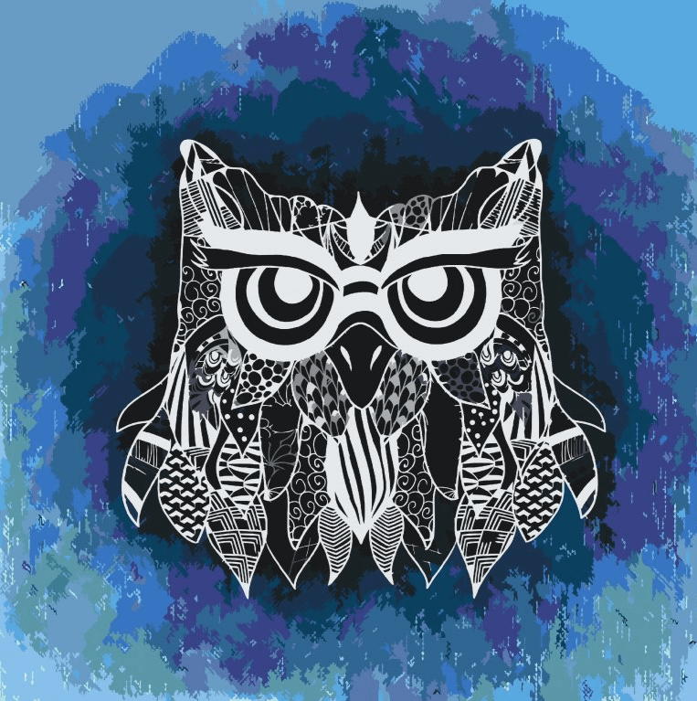 Diamond Painting - Illustratie van een uil - SEOS