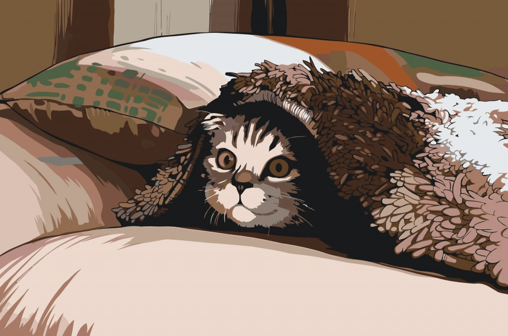 Diamond Painting - Kat onder het kussen - SEOS®