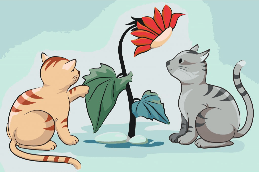 Diamond Painting -  Katten en bloemen - SEOS®