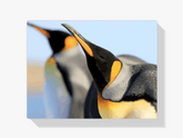 Diamond Painting - Konings pinguïns - SEOS®