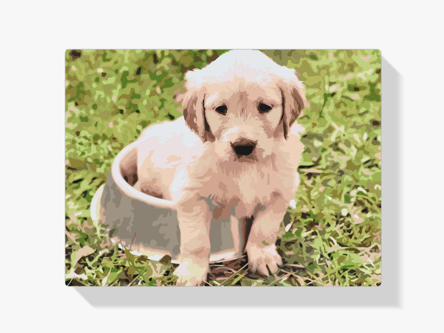 Diamond Painting - Labrador in een kom - SEOS®