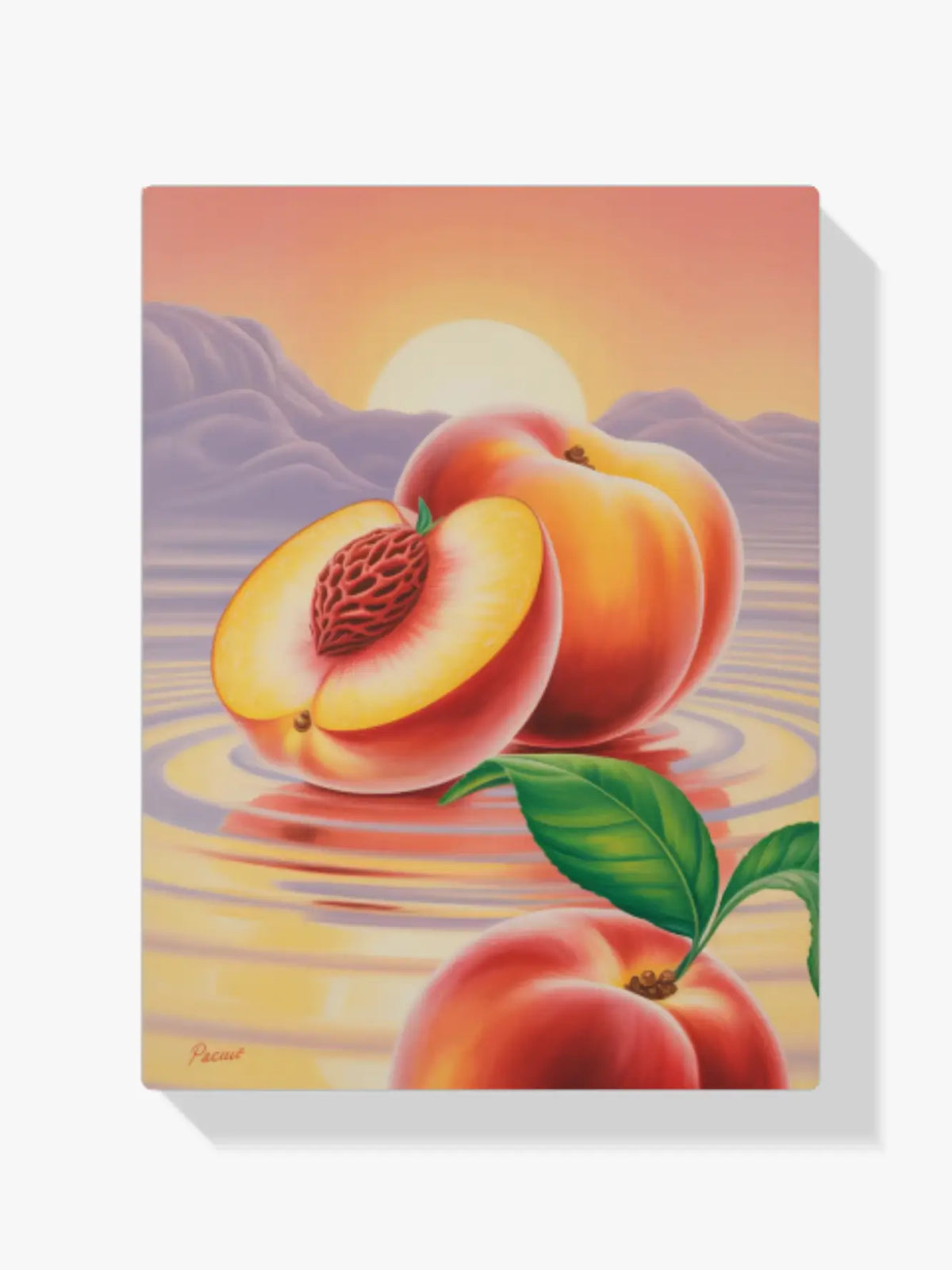 Diamond Painting - Perzik Mirage