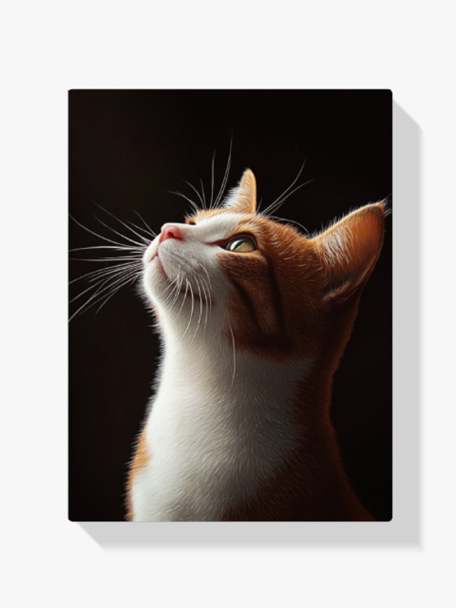 Diamond Painting - Gazing Feline
