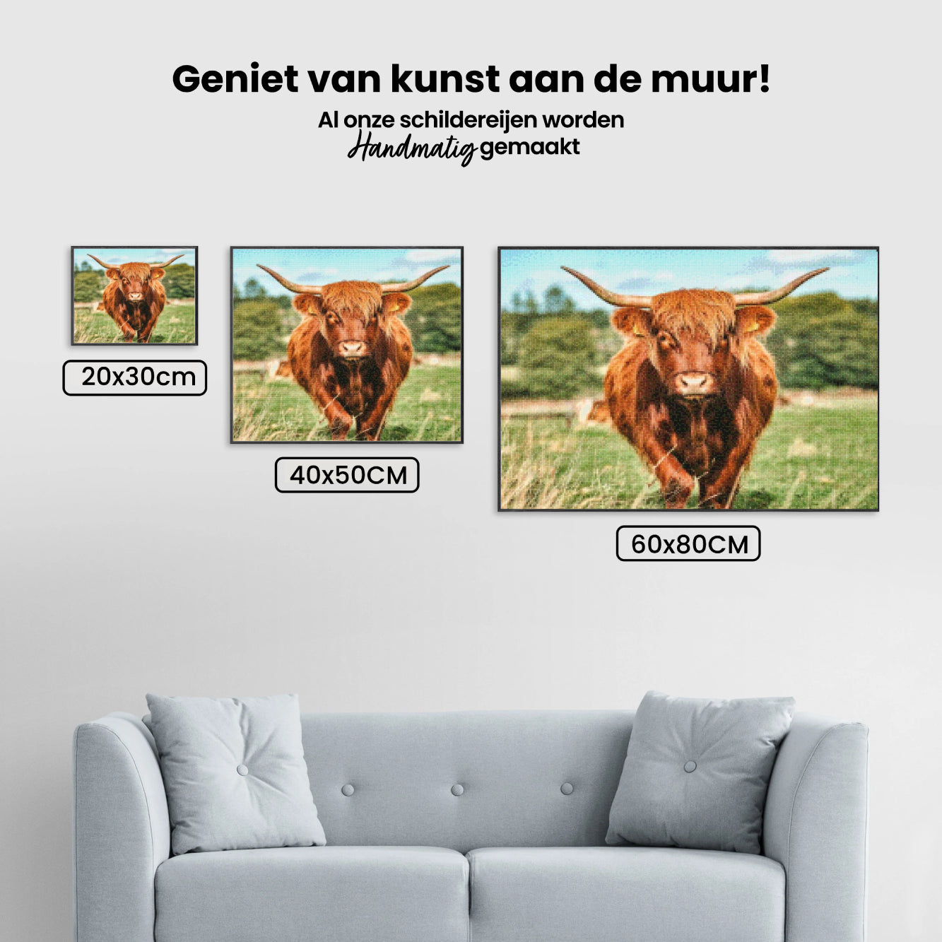 Diamond Painting - Schotse hooglander