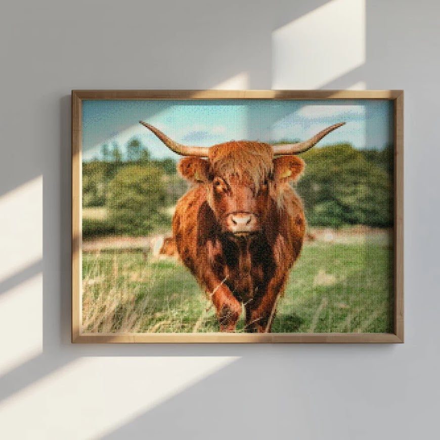 Diamond Painting - Schotse hooglander