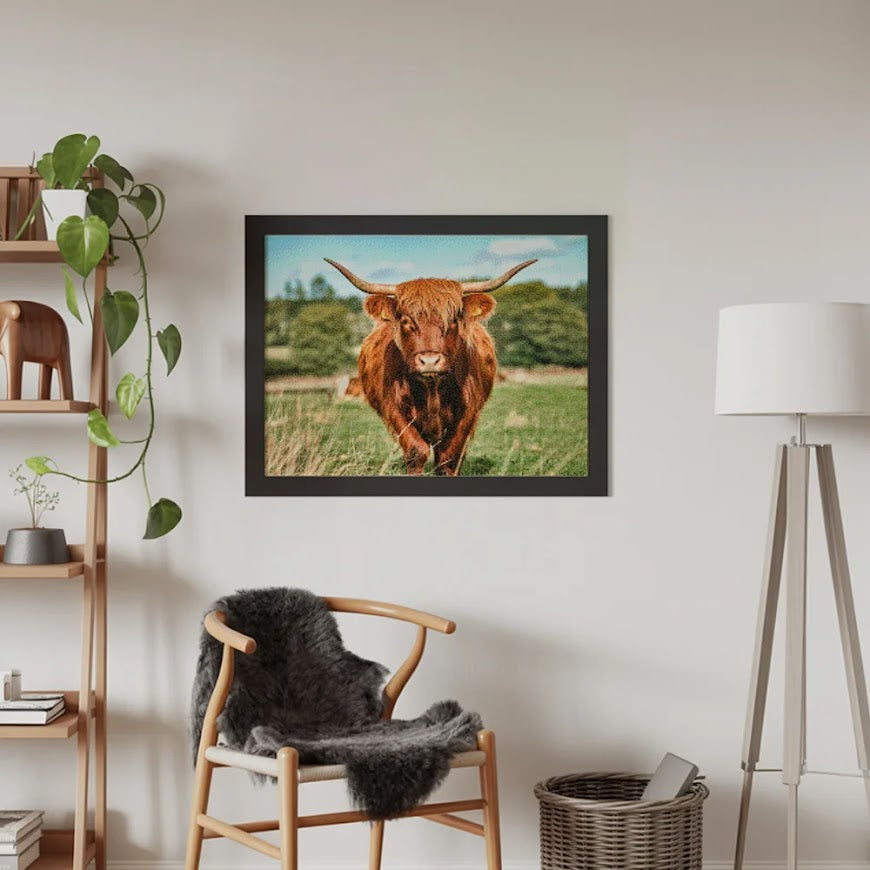 Diamond Painting - Schotse hooglander