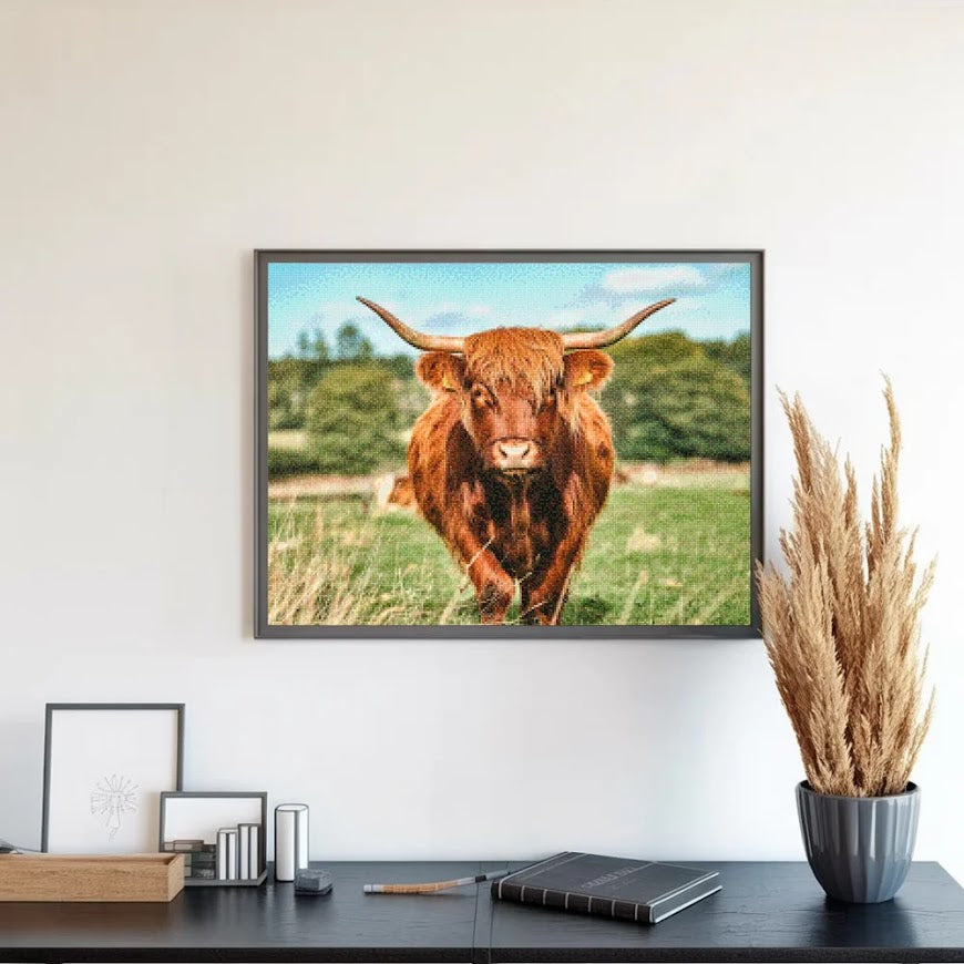 Diamond Painting - Schotse hooglander