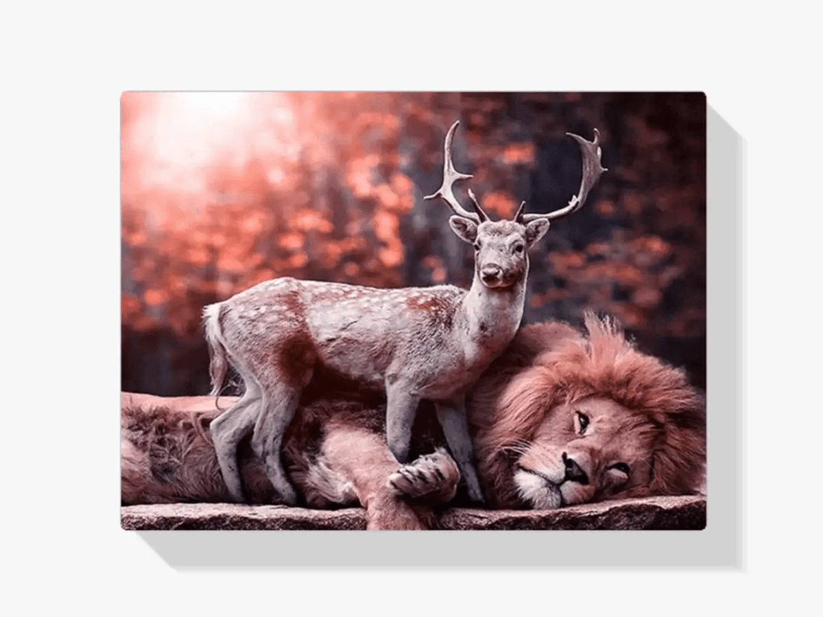 Diamond Painting Hert ligt op leeuw - SEOS Shop ®