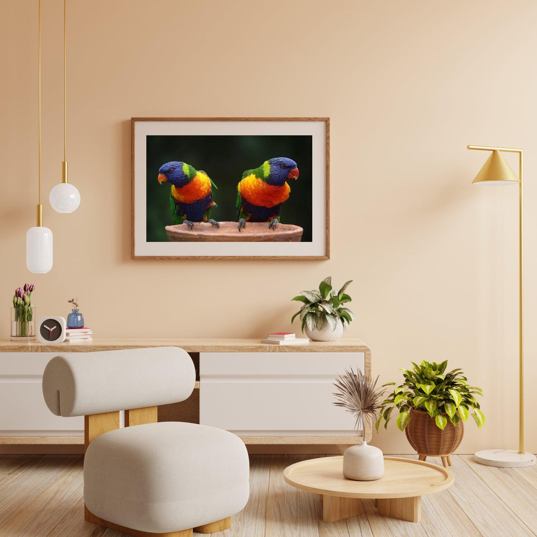 Diamond Painting Papegaaien - SEOS Shop ®