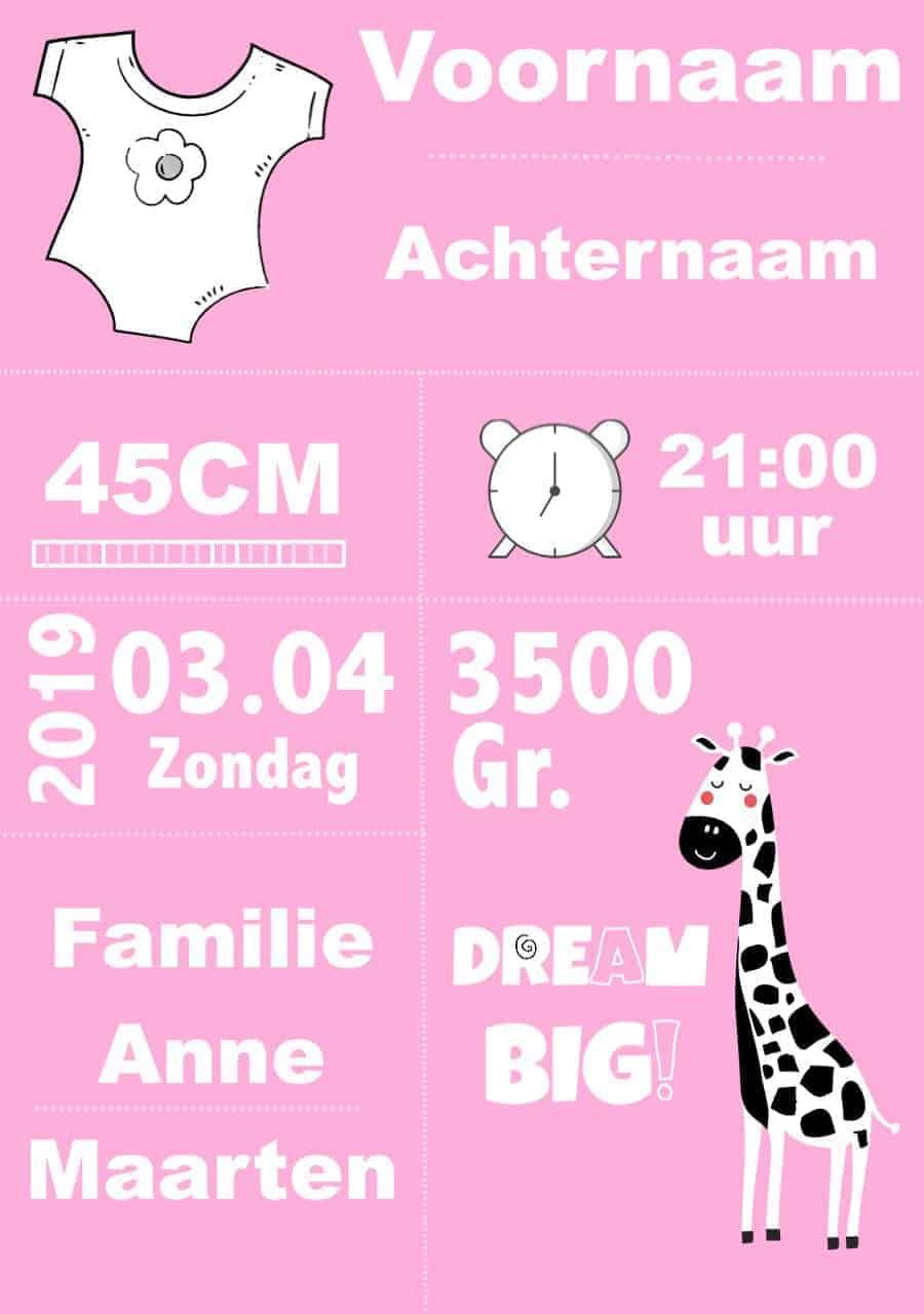 Diamond Painting foto - Geboortebord Wit/Roze/Zwart (m)