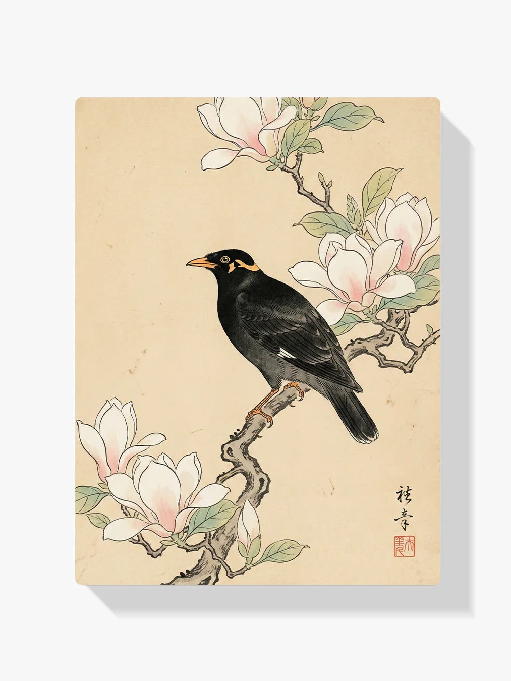 Diamond Painting - Merel bij magnolia