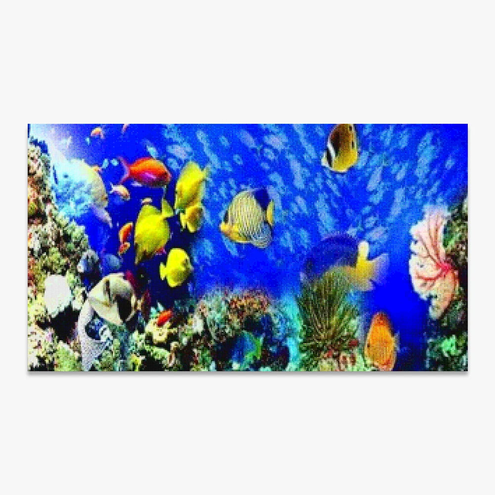 Mooie vissen | Groot Formaat - Seos SHOP