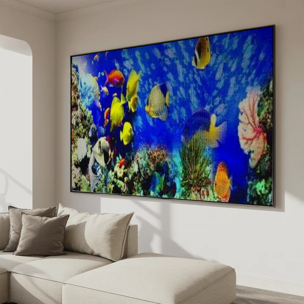 Mooie vissen | Groot Formaat - Seos SHOP