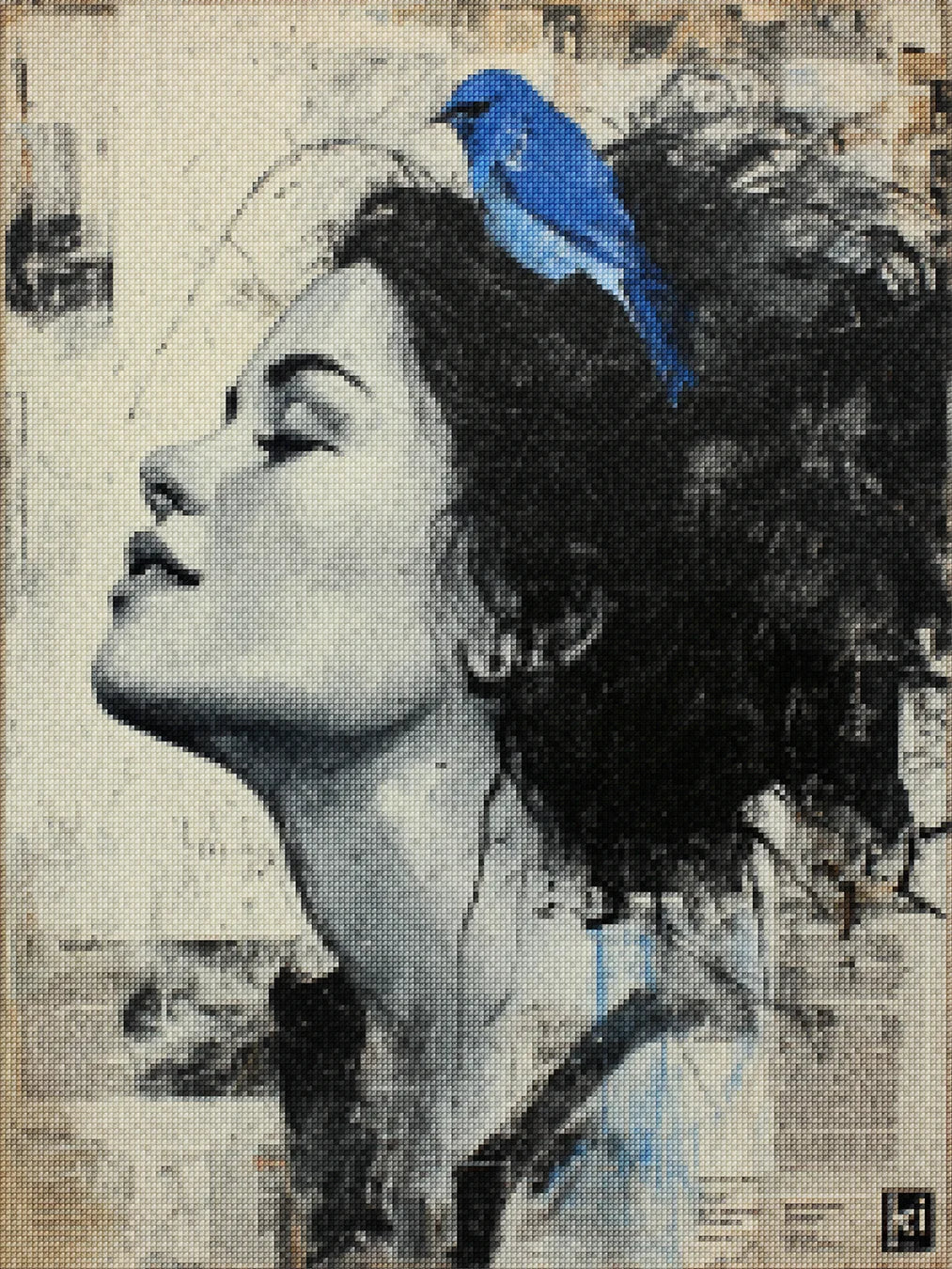 Diamond Painting - Wegtrekkende luchten