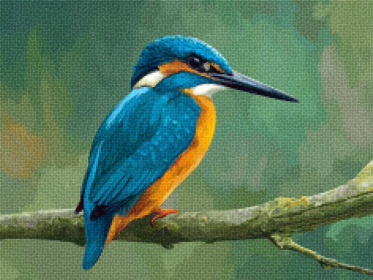 Diamond Painting - IJsvogel op een Lenteochtend