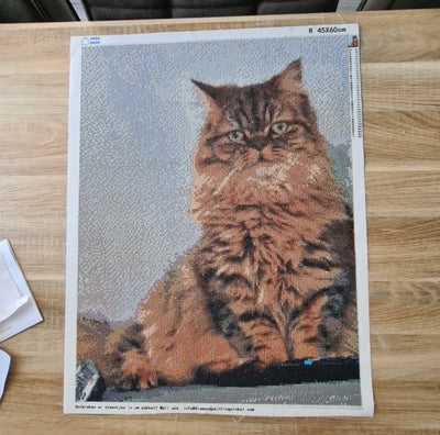 Diamond painting eigen foto van een kat