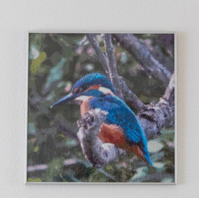 Diamond painting eigen foto van een vogel