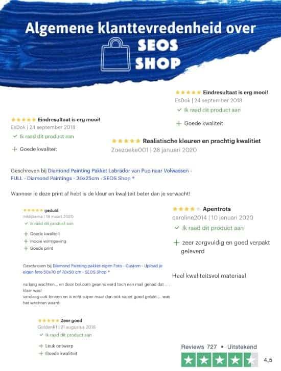 Diamond Painting Pakket Honden liefde - 30x80 cm