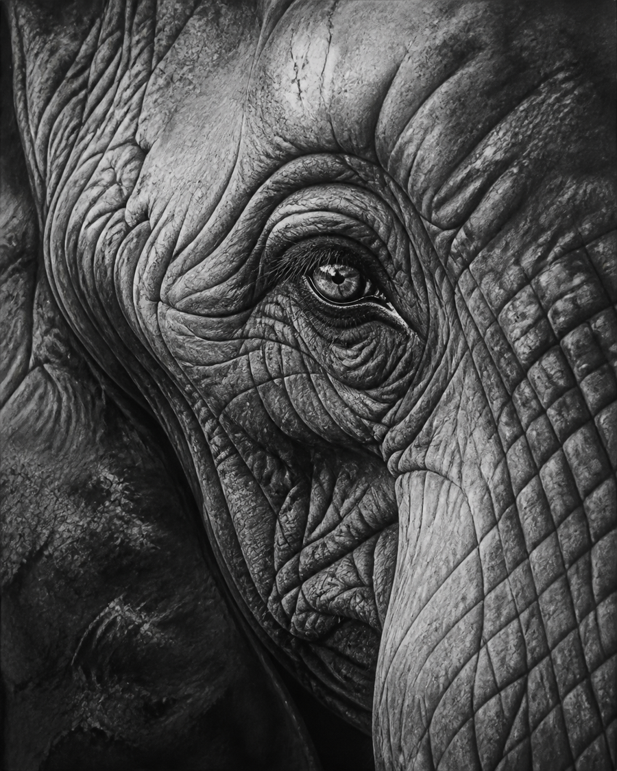 Diamond Painting Olifantenoog Zwart Wit – volledig zwart-witontwerp