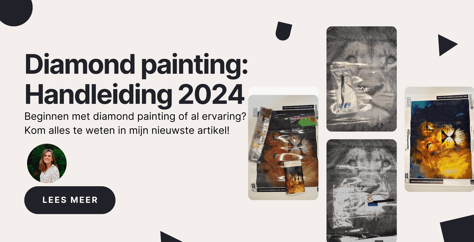Dé Diamond painting handleiding voor 2024