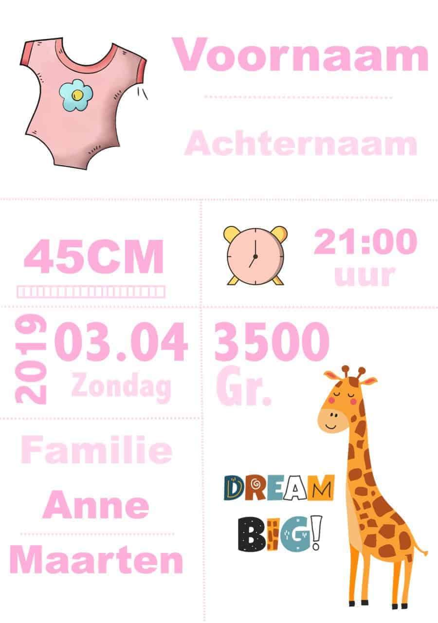 Diamond painting Geboortebord - DIY - Eigen Foto