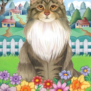 Katten