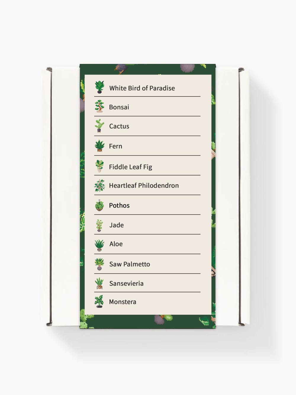 Mini Meesterwerken - Huisplanten (Set van 12)